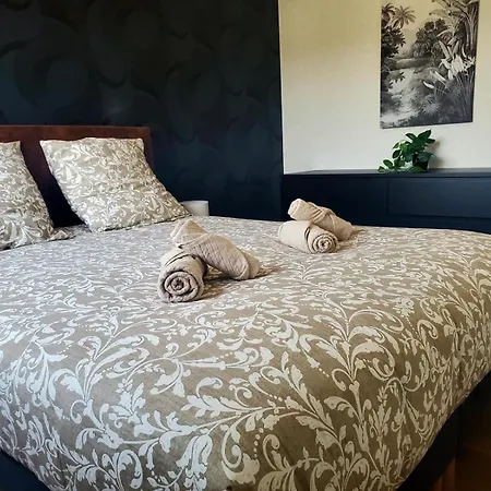 Apartment Le Cocon Clermontois - T2 Centre Clermont-Ferrand