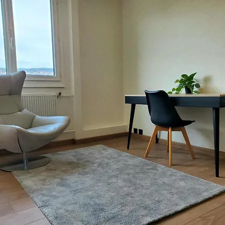 Le Cocon Clermontois - T2 Centre Apartment