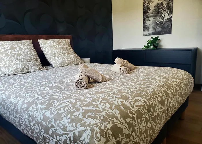 Apartment Le Cocon Clermontois - T2 Centre Clermont-Ferrand