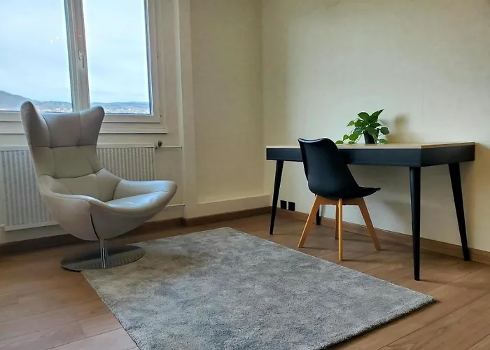 Le Cocon Clermontois - T2 Centre Apartment