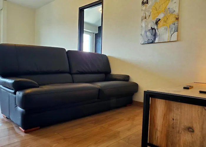 Apartment Le Cocon Clermontois - T2 Centre