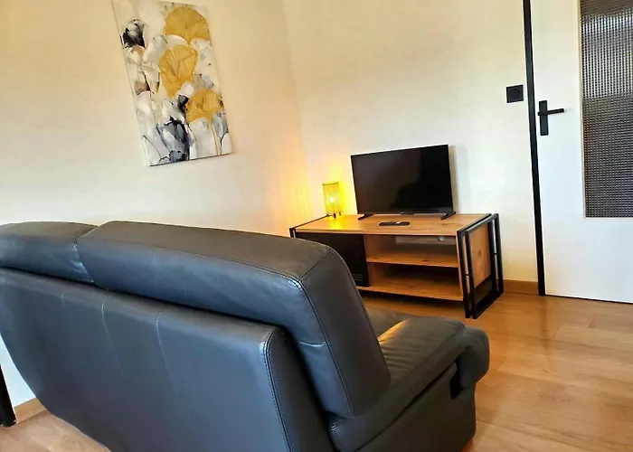 Apartment Le Cocon Clermontois - T2 Centre Clermont-Ferrand