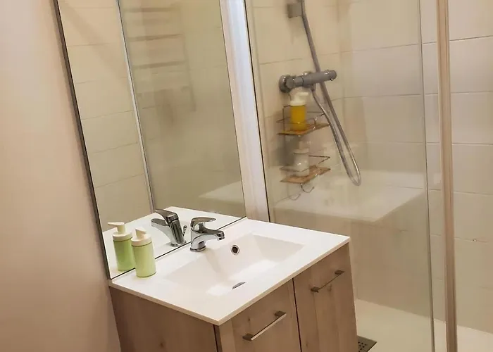 Le Cocon Clermontois - T2 Centre Appartement *