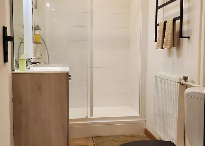 Le Cocon Clermontois - T2 Centre *